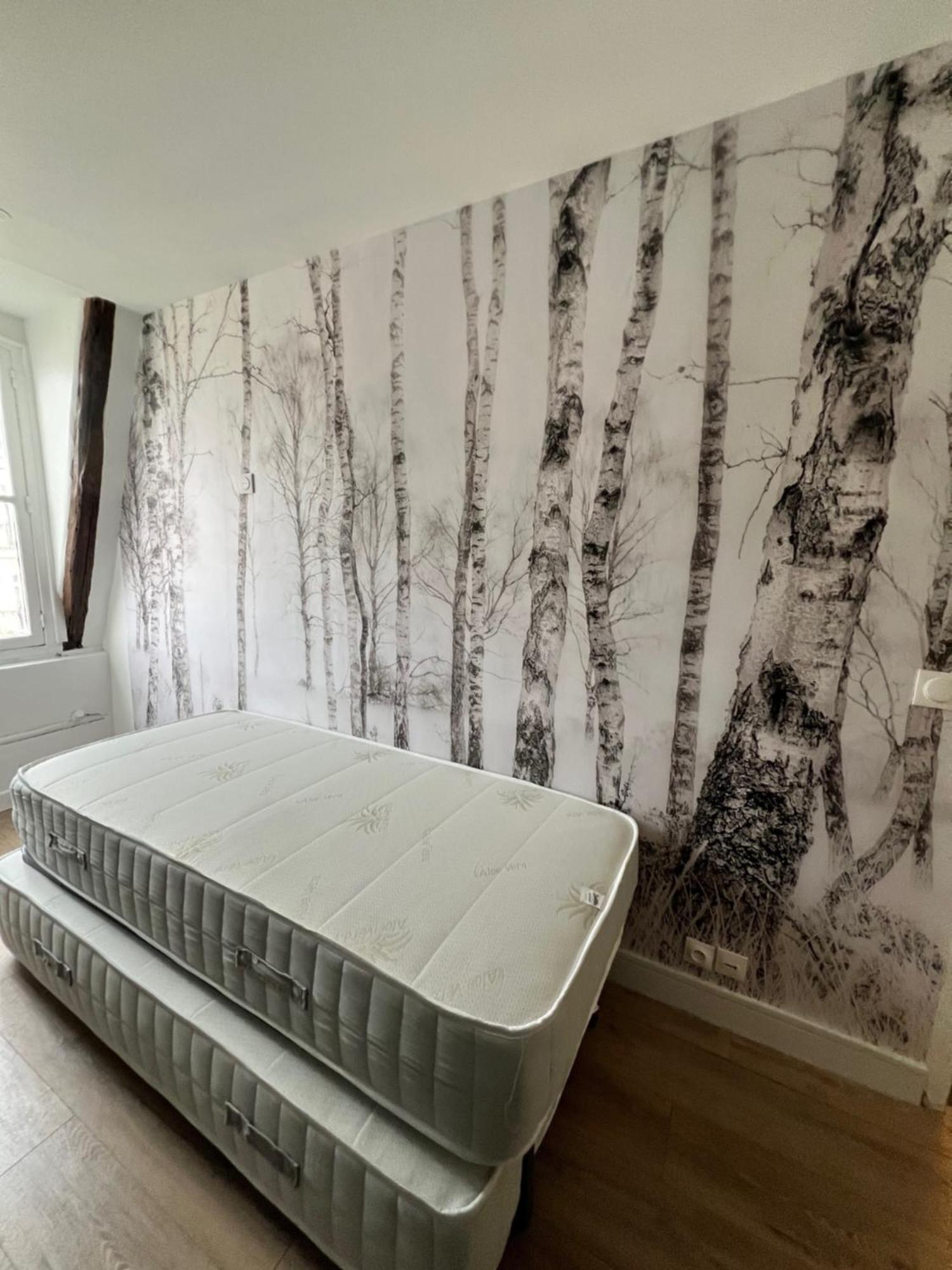 Batignolles, Montmartre 12m2 , Metro 13 Et 14 Appartement